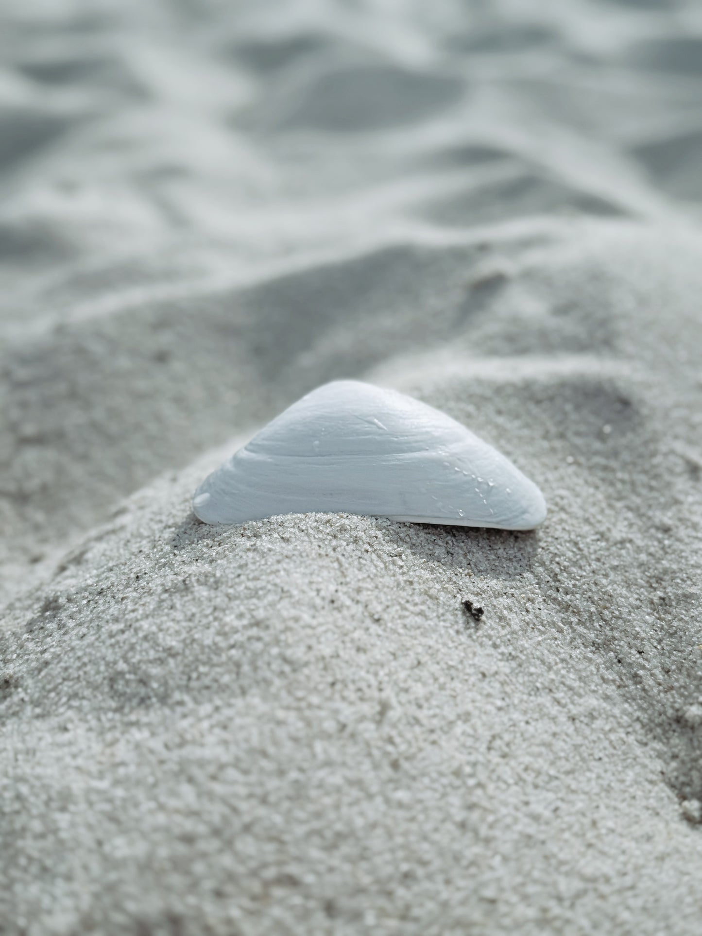 Kyma Shell (white)