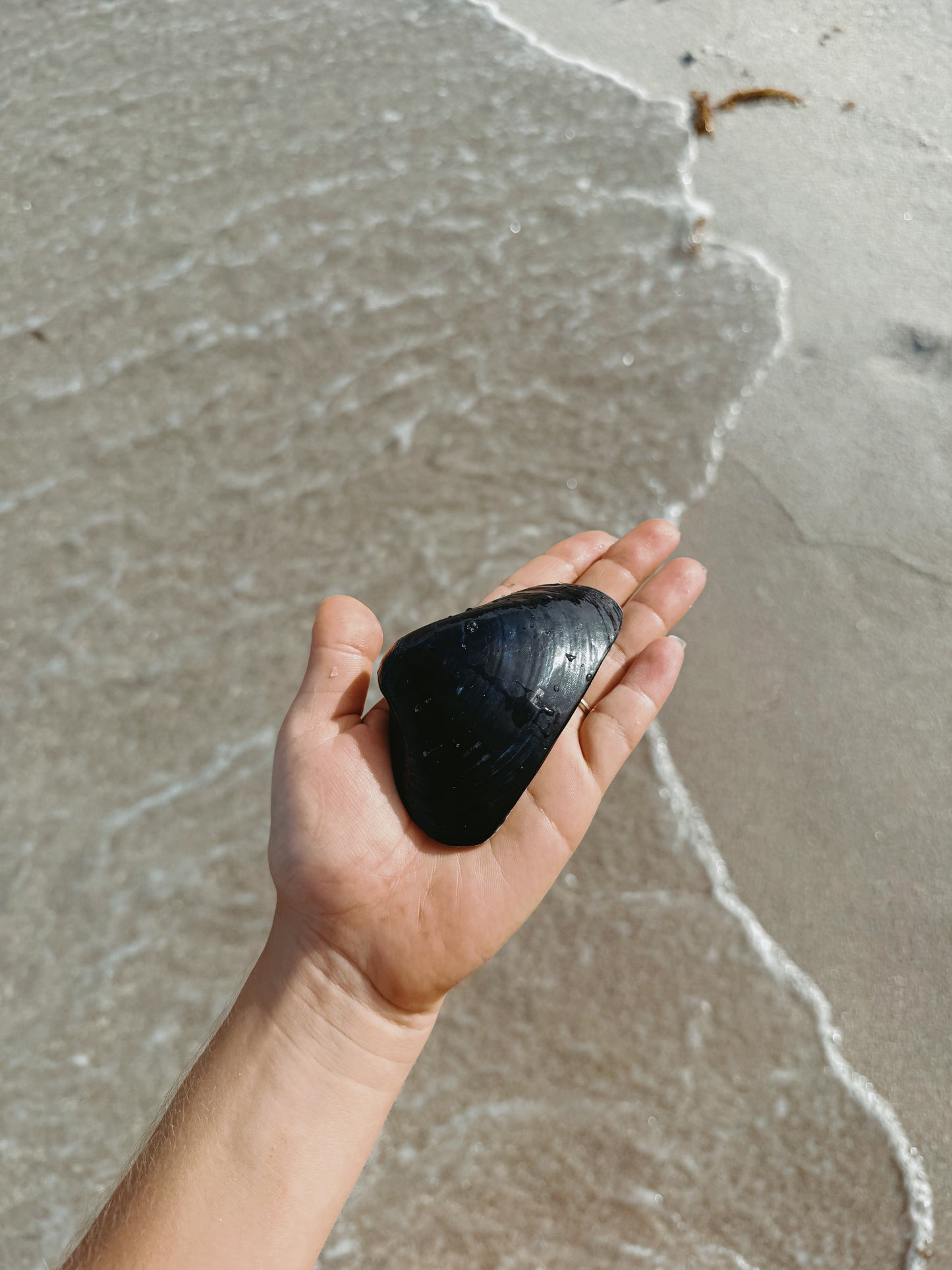Kyma Shell (black)