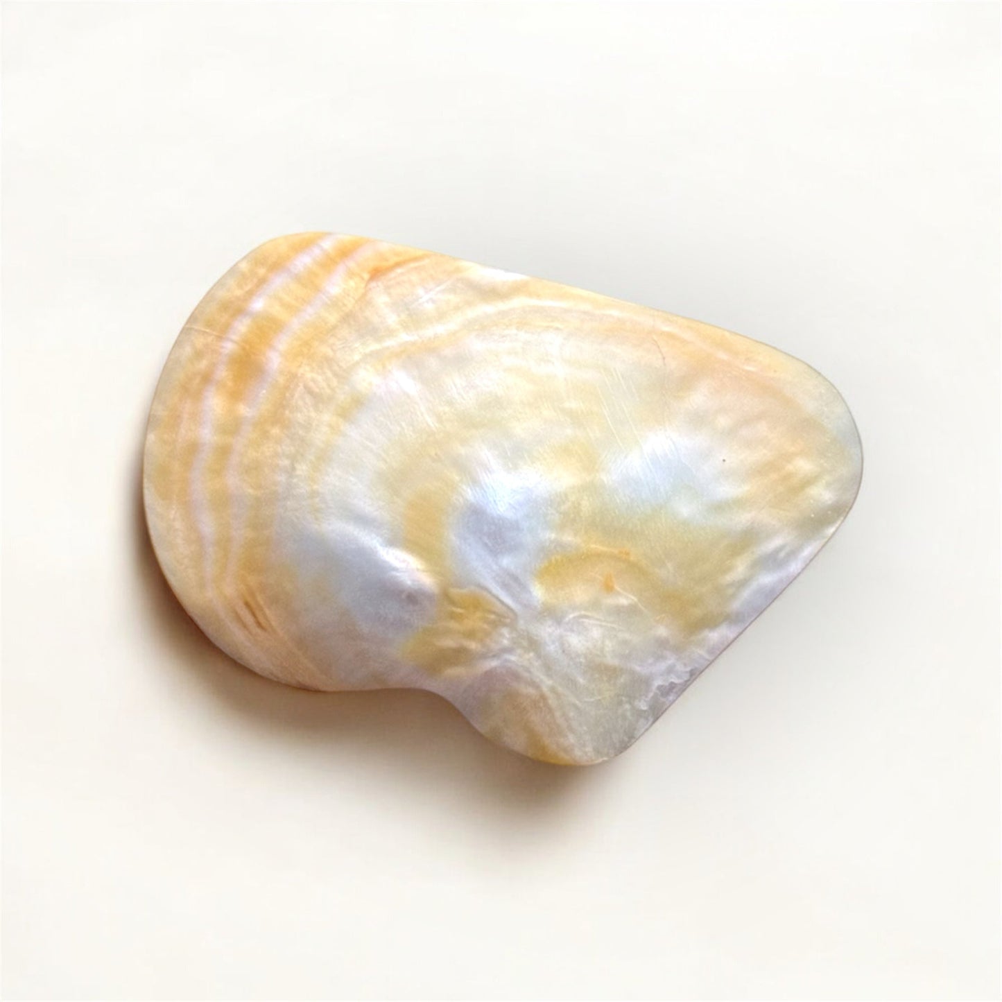 The KYMA Shell