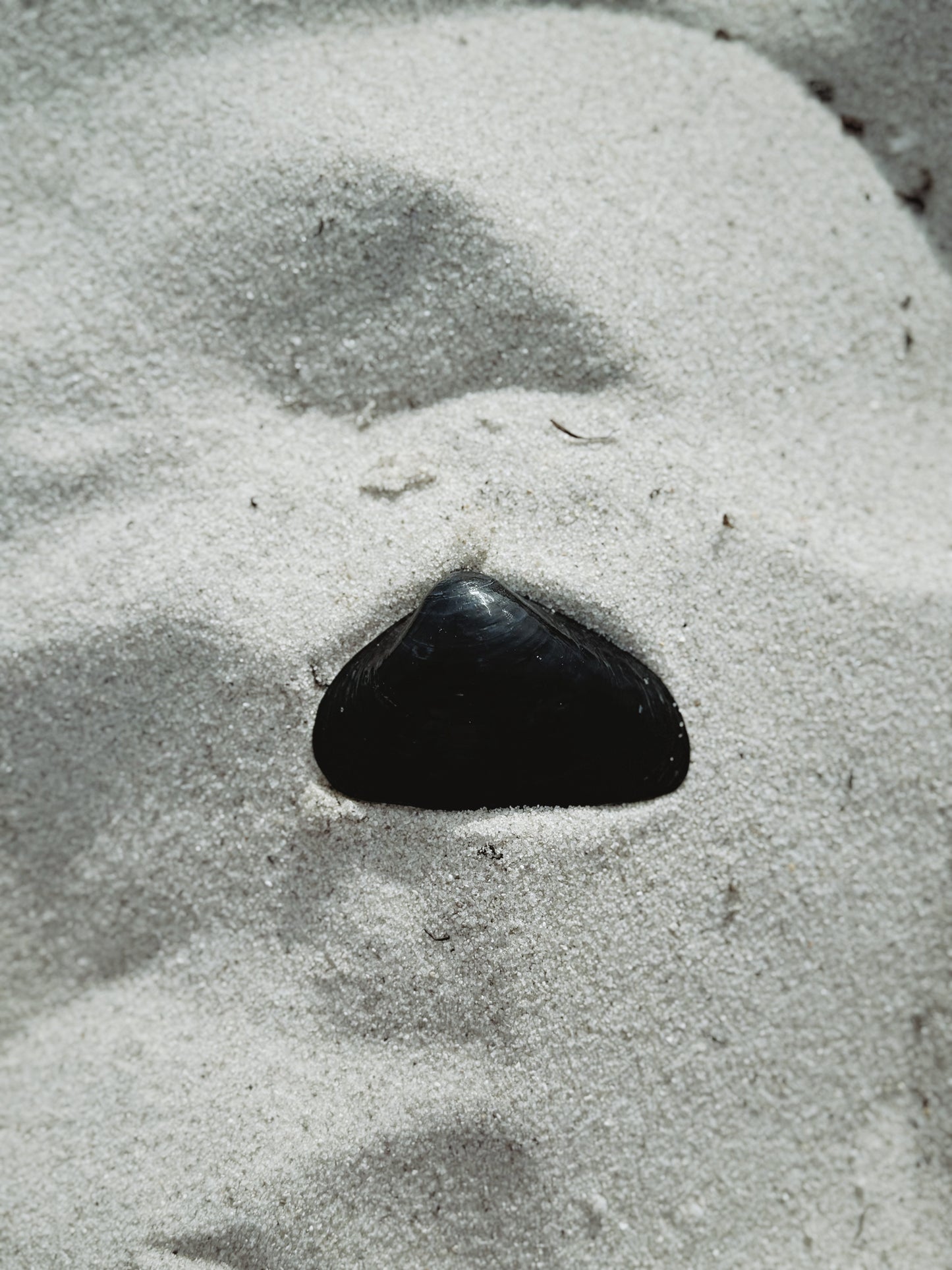 Kyma Shell (black)
