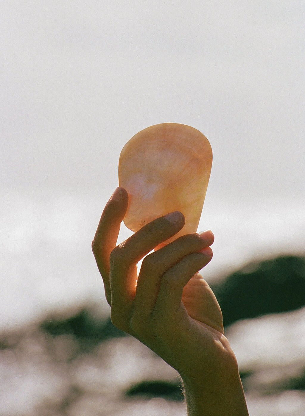The KYMA Shell